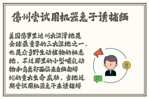 让老师塞跳D开最大挡不能掉